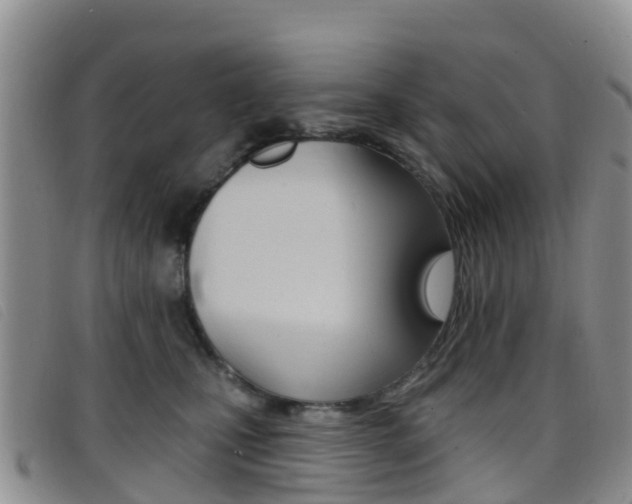 X0000096720471200802051104