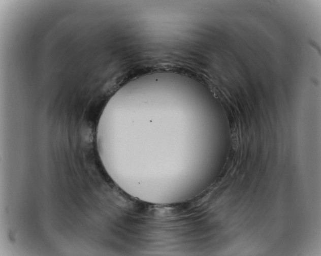 X0000096720472200802051104