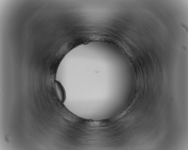 X0000096720473200802051104