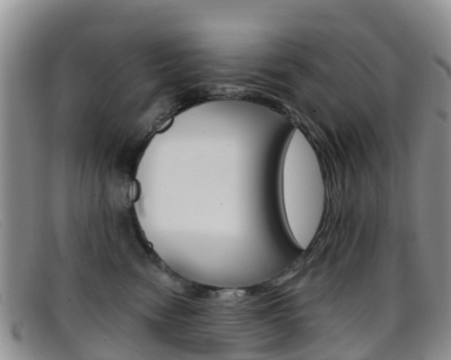 X0000096720474200802051104