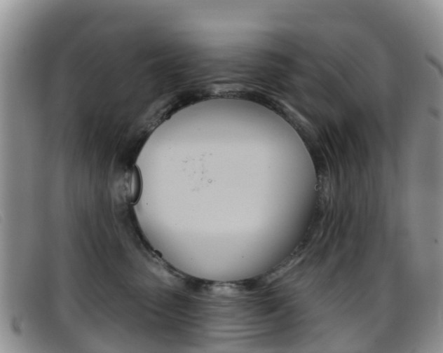X0000096720475200802051104