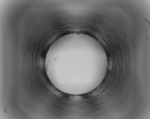 X0000096720476200802051104