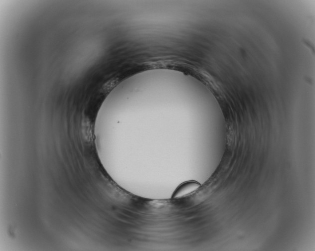 X0000096720477200802051104