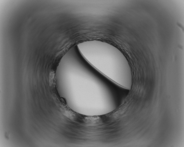 X0000096720480200802051104