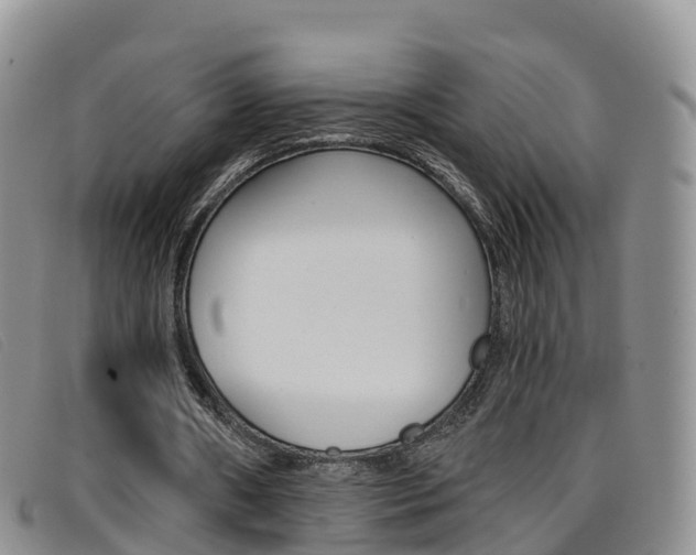 X0000096720482200802051103
