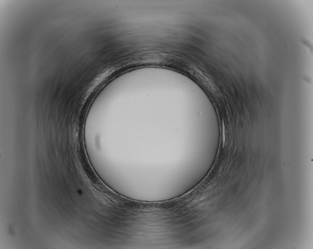 X0000096720483200802051103