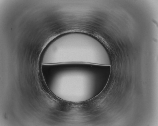 X0000096720484200802051103