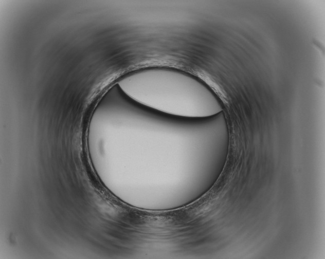 X0000096720486200802051103