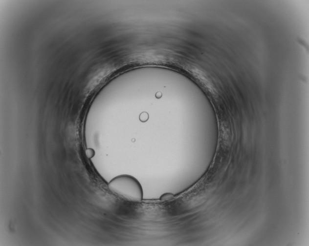 X0000096720487200802051103