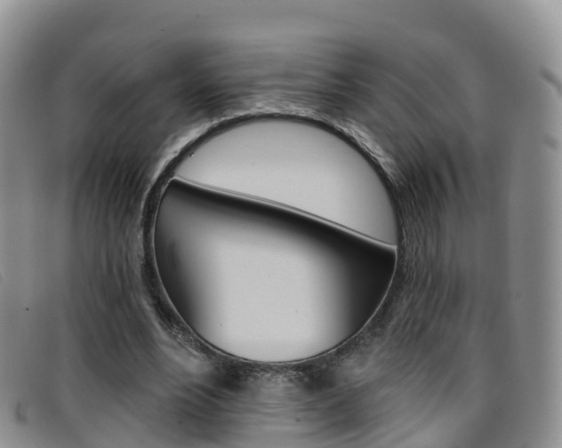X0000096720488200802051103