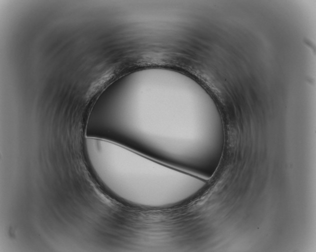 X0000096720489200802051103