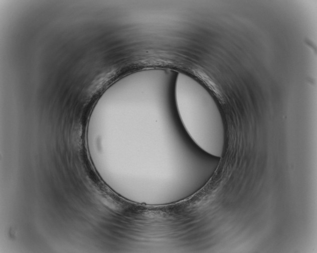 X0000096720490200802051103