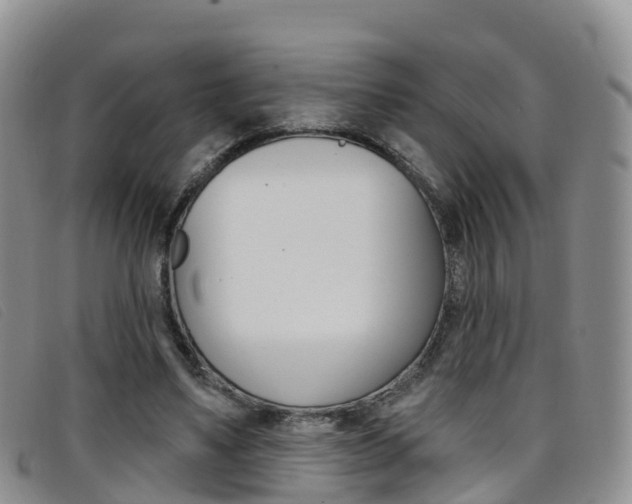 X0000096720491200802051103