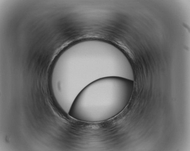 X0000096720492200802051103