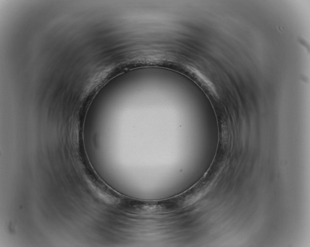 X0000096720493200802051103