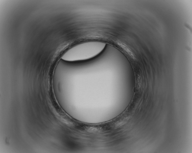X0000096720494200802051103