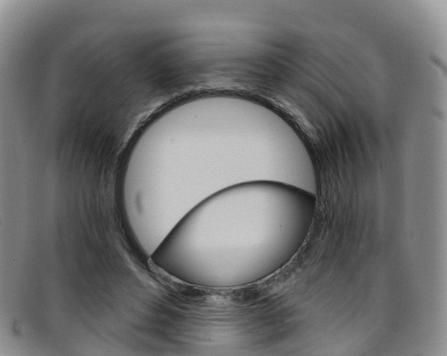 X0000096720496200802051103
