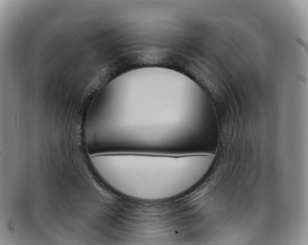 X0000096720497200802051103