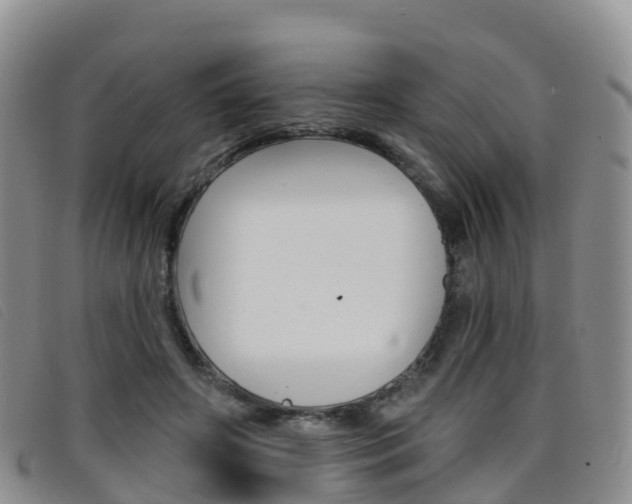 X0000096720498200802051103