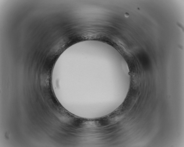 X0000096720499200802051103