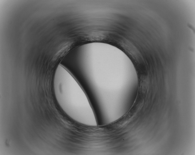 X0000096720501200802051103
