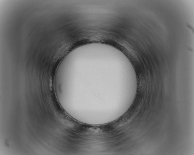 X0000096720502200802051103