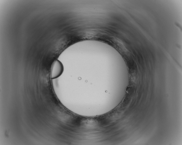 X0000096720503200802051103