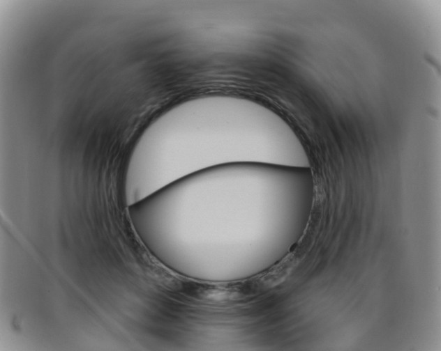 X0000096720504200802051103