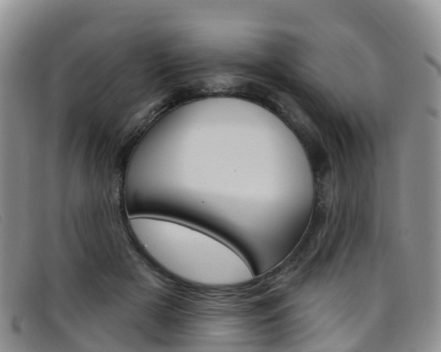 X0000096720505200802051103