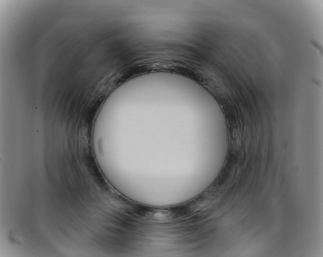X0000096720506200802051103