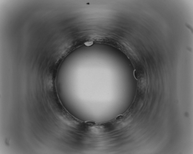 X0000096720508200802051103