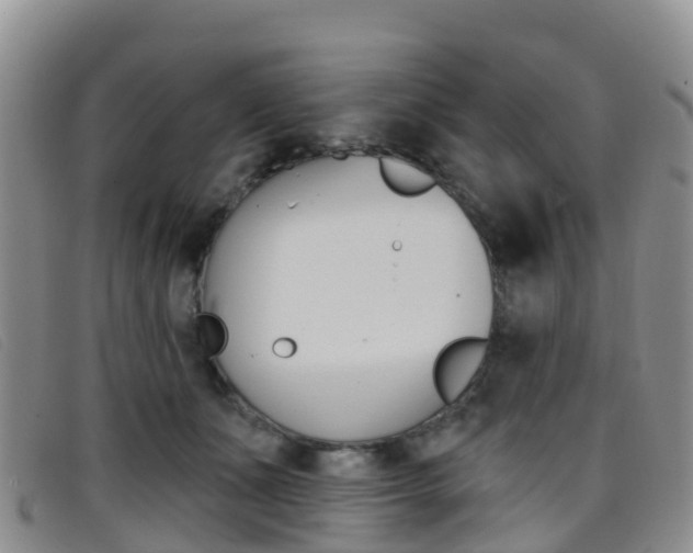 X0000096720511200802051103