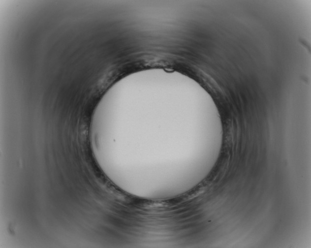 X0000096720513200802051103