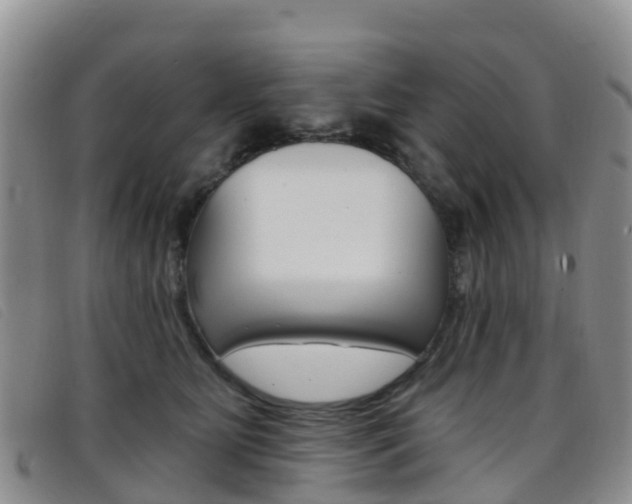 X0000096720515200802051103