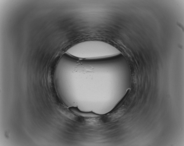 X0000096720516200802051103