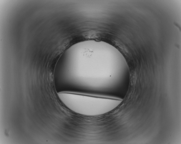 X0000096720521200802051103