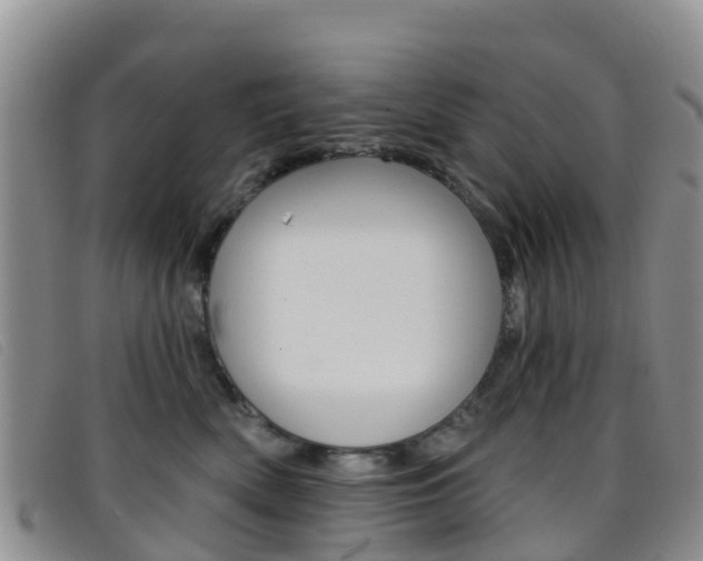 X0000096720522200802051103