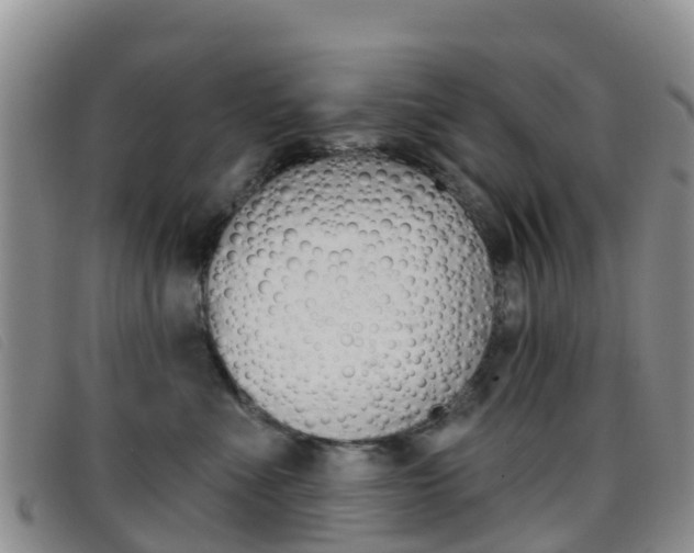 X0000096720523200802051103