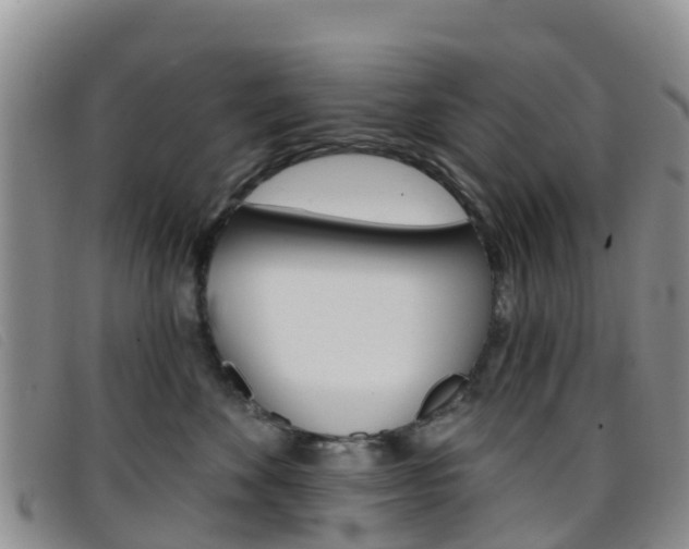 X0000096720524200802051103