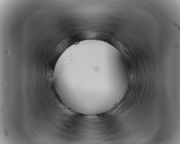 X0000096720525200802051103