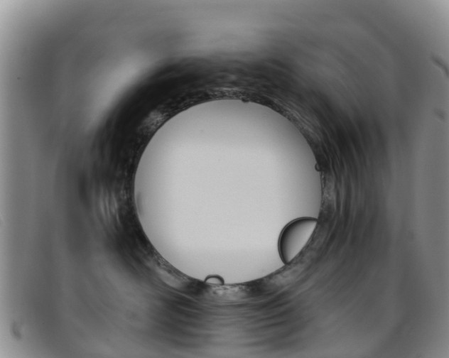 X0000096720526200802051103