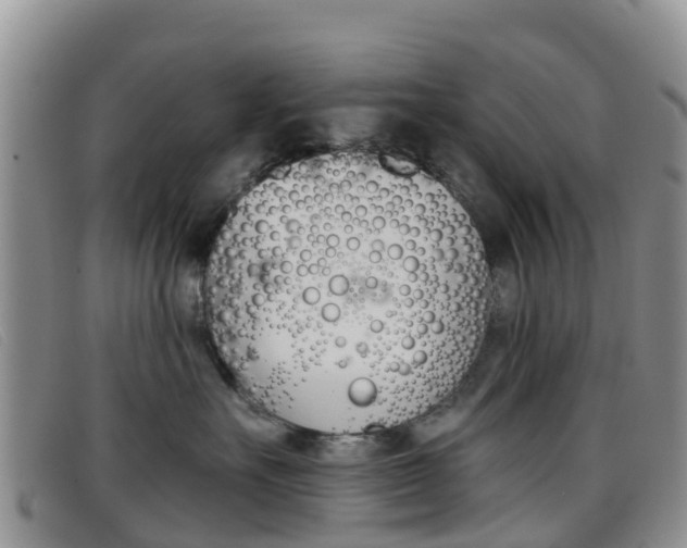 X0000096720527200802051103