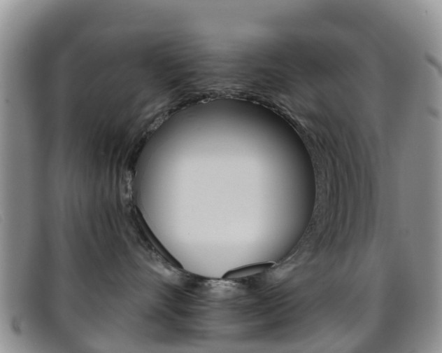 X0000096720528200802051103