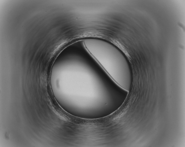 X0000096720530200802051102