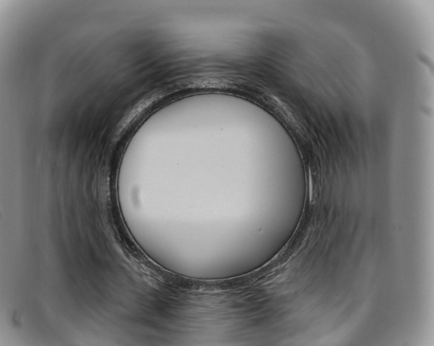 X0000096720531200802051102