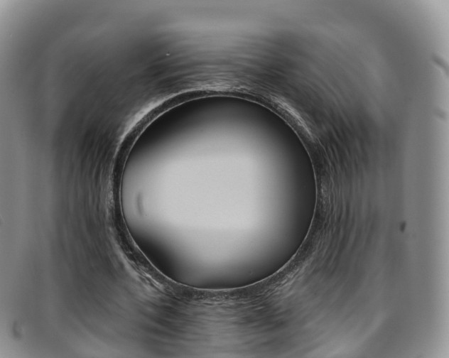 X0000096720532200802051102