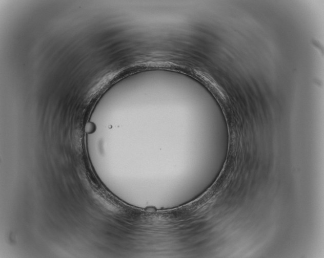 X0000096720533200802051102