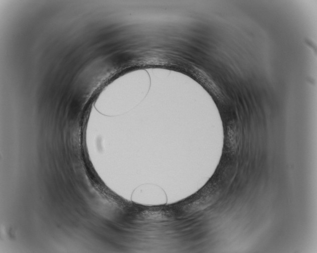X0000096720534200802051102