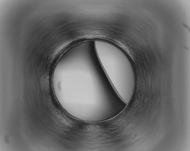X0000096720535200802051102