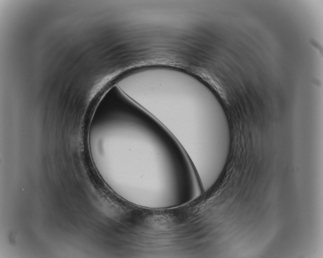 X0000096720536200802051102